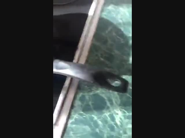 Про новомодные лайфхаки