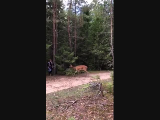 Кажется, это любовь