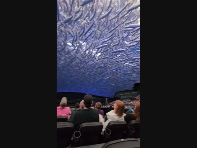 MSG-сфера в Лас-Вегасе снова удивляет