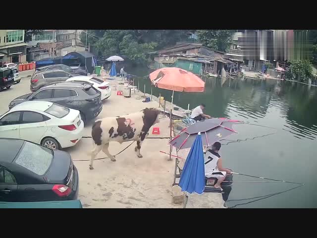 А пошло оно всё...