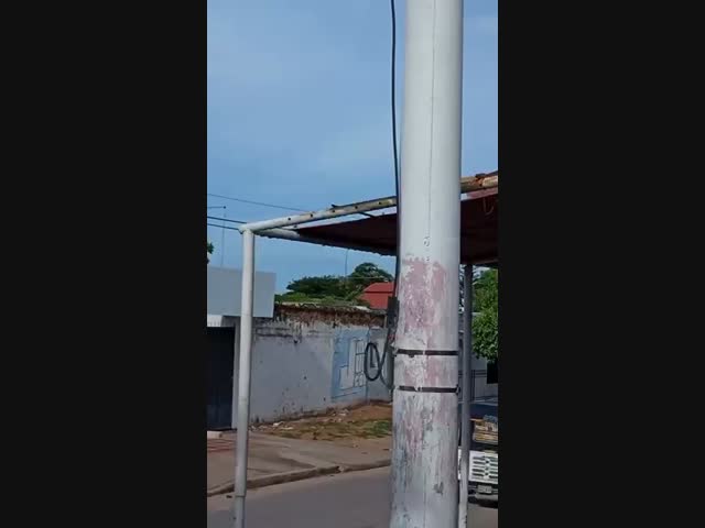 Пан спортсмен