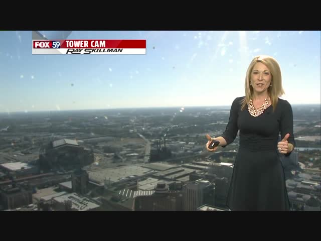 Пчела напугала синоптика