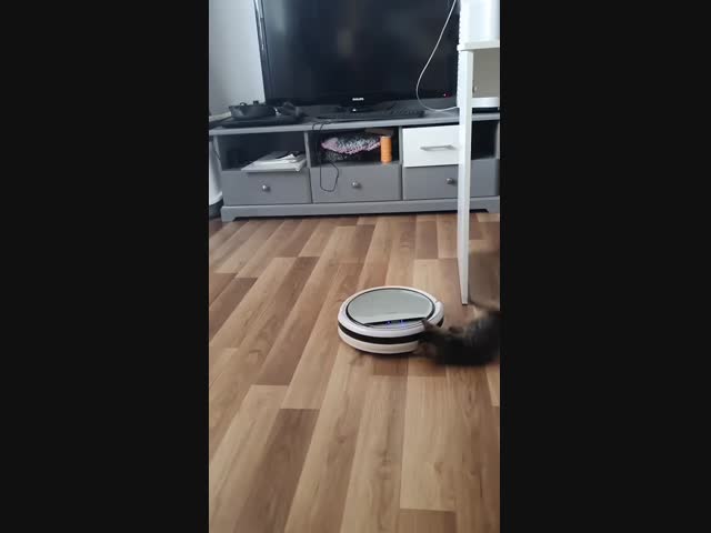 Кто в доме хозяин?