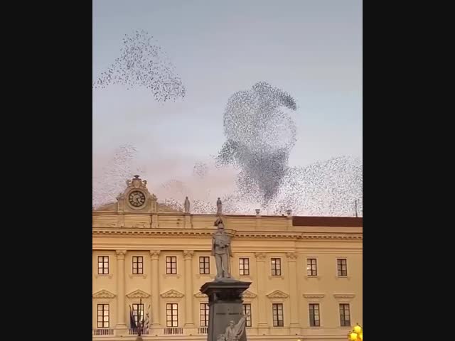 Где-то в Италии