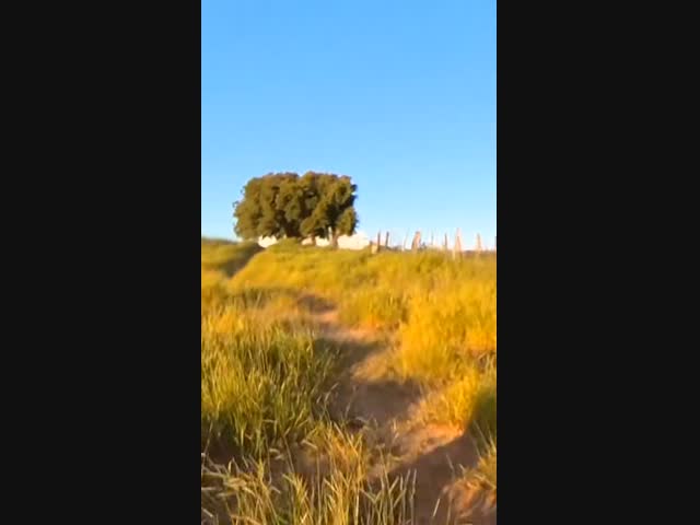 Погоня за малолетним преступником где-то в Бразилии