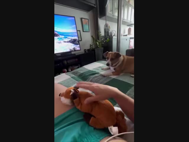 Ревность:))))