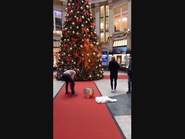 Чем ёлки их не устраивают?