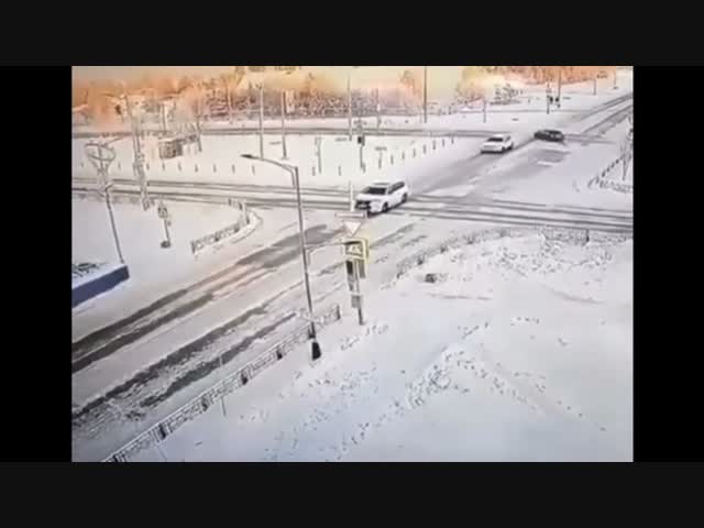 Бездомных собак нельзя убивать!