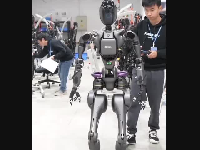 Китайские роботы идут в народ