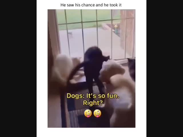 Вот ведь гад