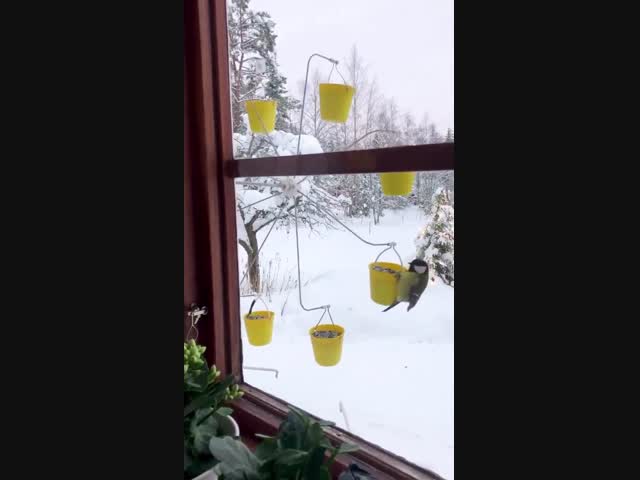 Кормушка для птиц в виде колеса обозрения