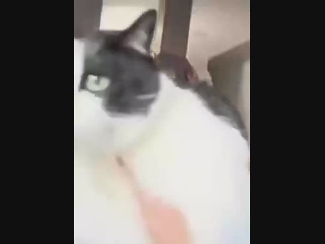 Я ничего не отрицаю, а главное - ни о чём не жалею!⁠⁠