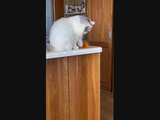 Мое новогоднее настроение