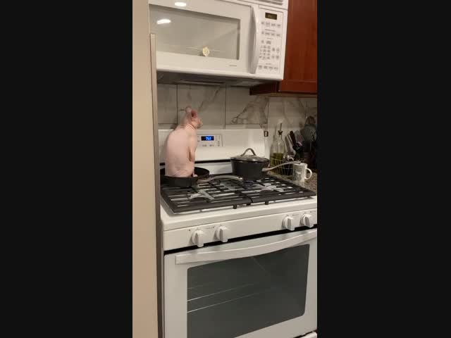 Разогревается