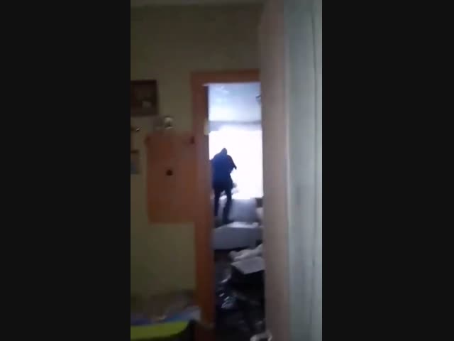 Вот почему птица в доме - плохая примета, а несколько - беда!