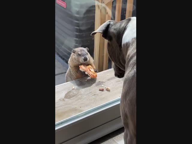 Без лишних слов