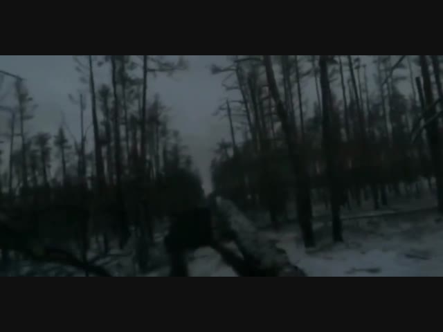 Фронтовая хроника