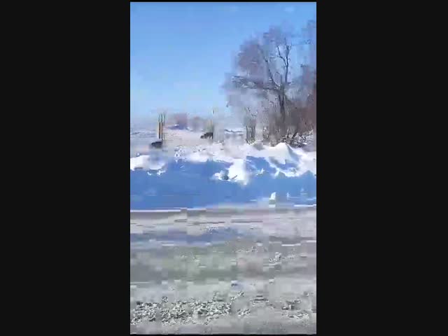 Необычное ДТП