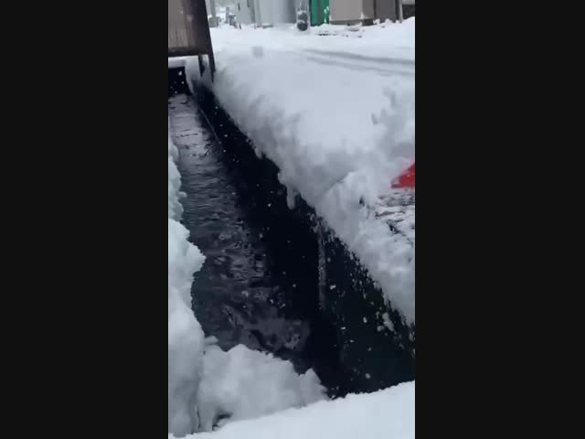 Казалось бы, что могло пойти не так?