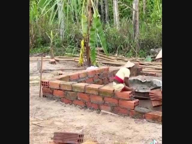 Необычный помощник