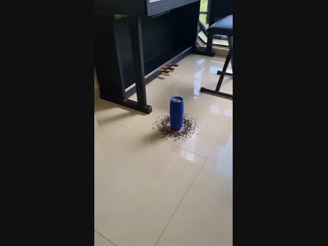 Муравьиный слэм