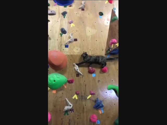 Без страховки