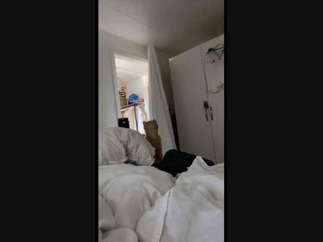 Уютное местечко, жаль, что залезать неудобно...