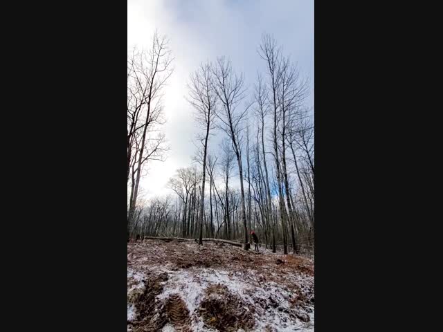 Точное попадание