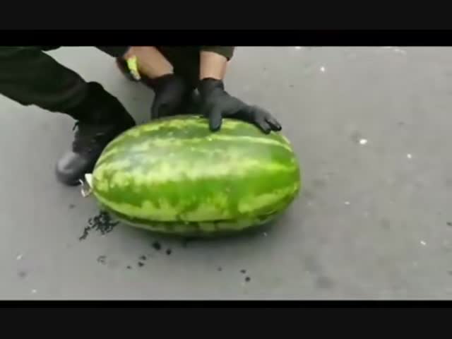 Перевозка марихуаны в арбузах