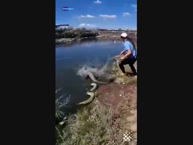 Да кто она вообще такая?