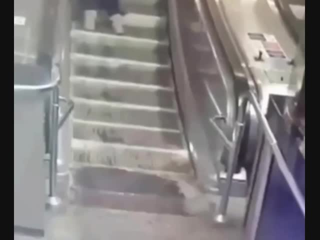 В питерском метро эскалатор едва не затянул девушку, которая ехала на нем сидя