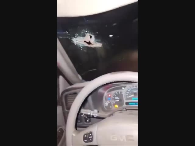 Везучий американец