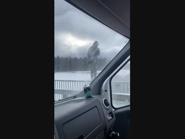 «Не сегодня!»