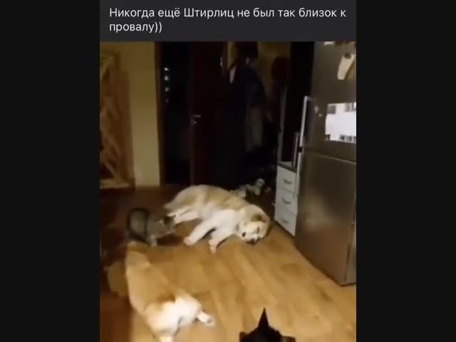 У разведчика свой путь!