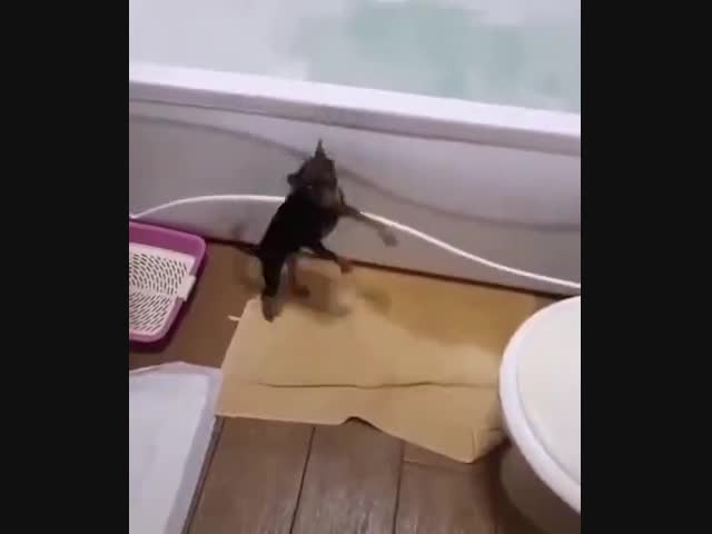 Ура! Купаться!!