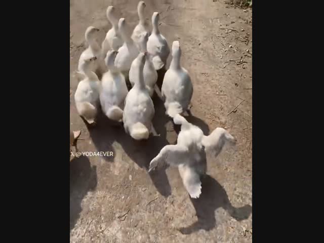 Какой я красавчик!