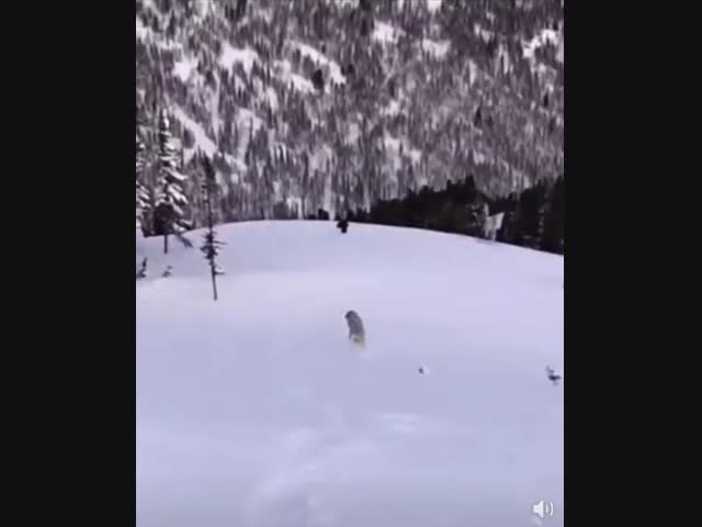 Мортал комбат