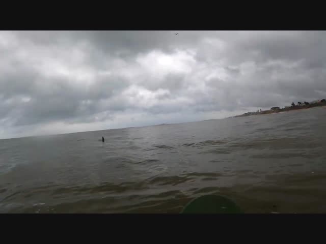 ДТП в океане  