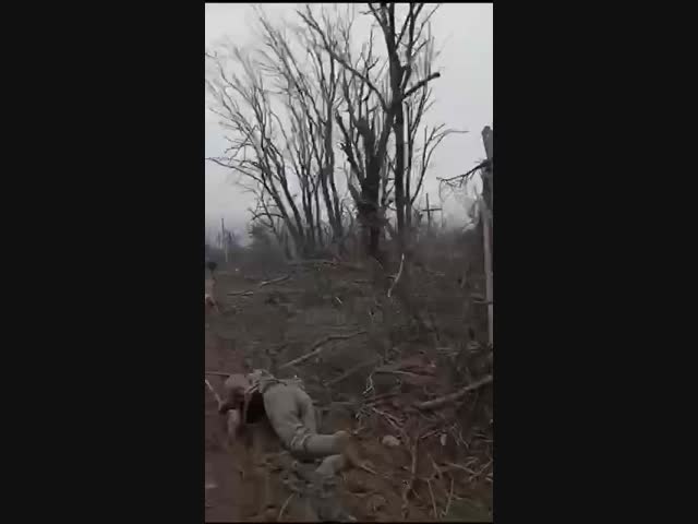 Авдеевское направление, свежие кадры