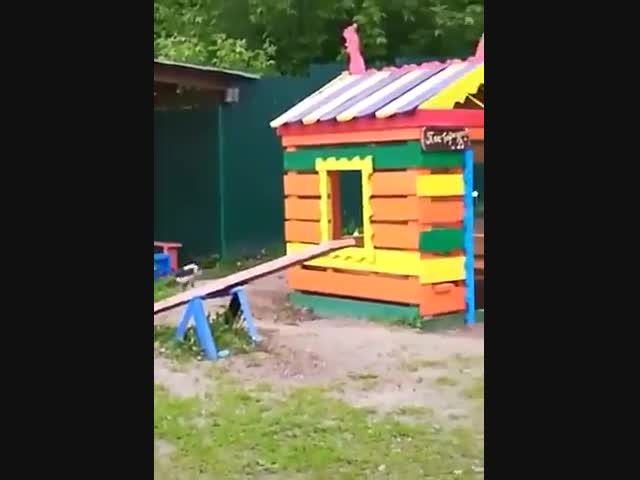 Ворона, которая гуляет сама по себе