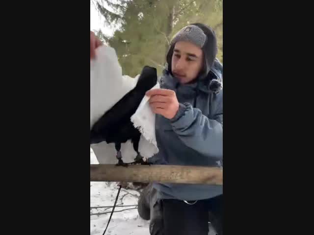 Холодно, братишка?