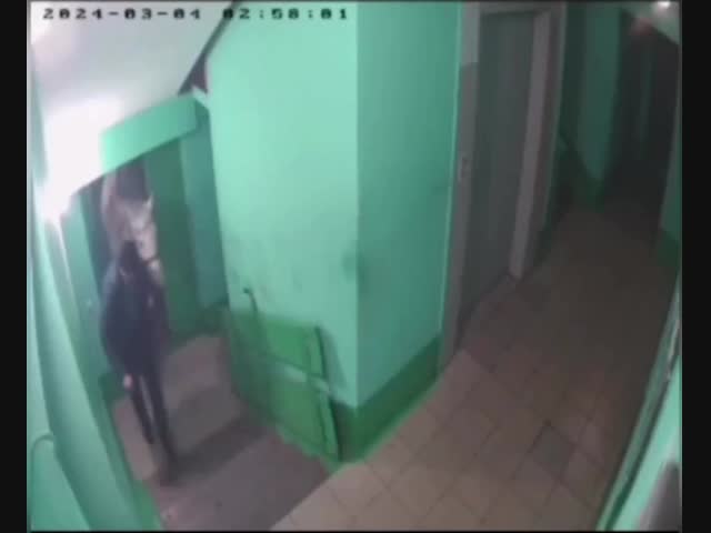 Романтик из Кемеровской области пытался заехать в квартиру к любимой на белом коне