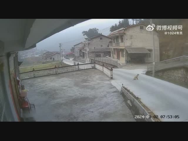 Нечего здесь шастать!