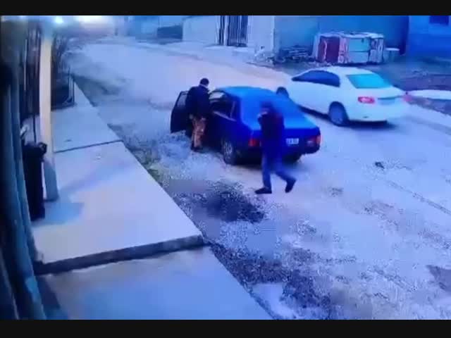 Естественный отбор