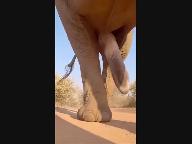 В жизни бывает разное