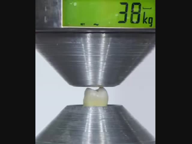 Гидравлический пресс и человеческий зуб