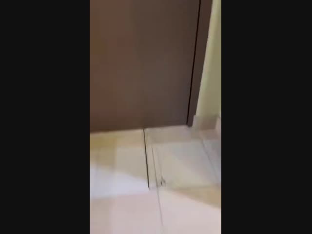 Незваные гости