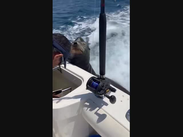 Какой переборчивый! Еще не всякую рыбу ест