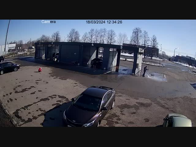 Женщина чуть не задавила маленькую девочку: спасло чудо