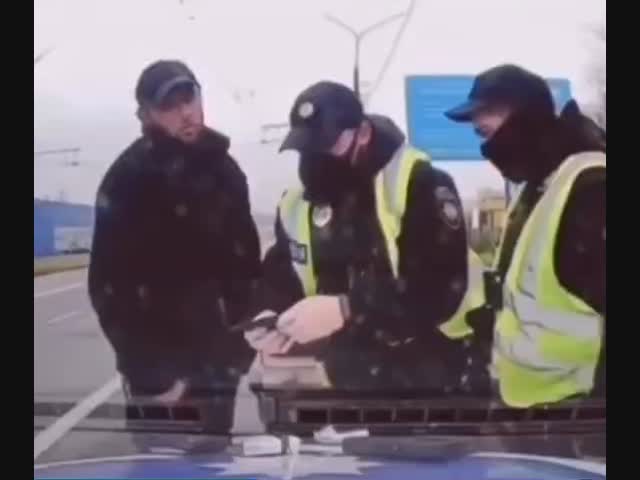 Ловкий мигрант